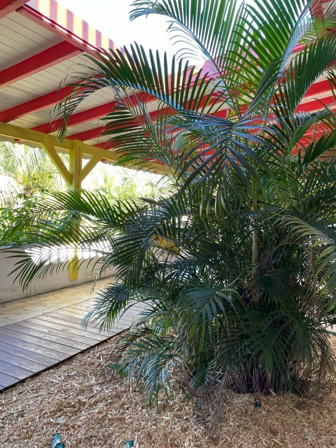 Jardin Sur Mer Terre-De-Haut Kültér fotó