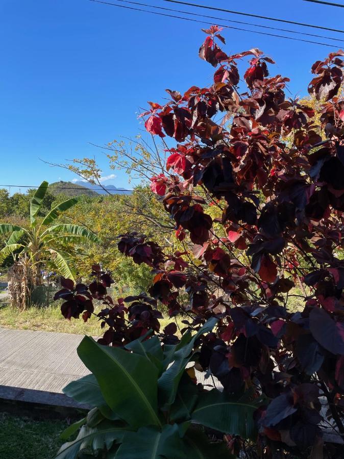 Jardin Sur Mer Terre-De-Haut Kültér fotó