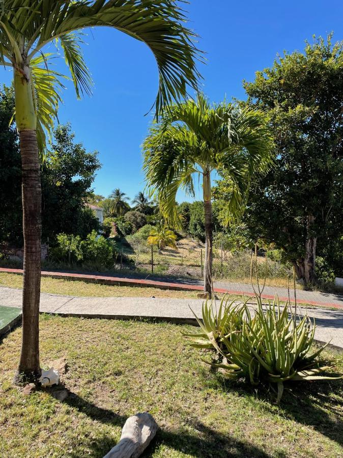 Jardin Sur Mer Terre-De-Haut Kültér fotó