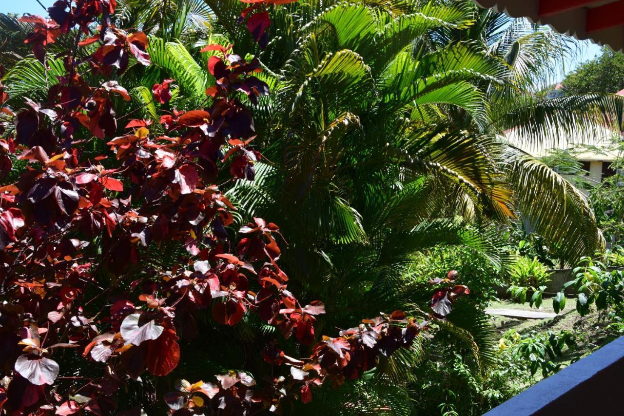 Jardin Sur Mer Terre-De-Haut Kültér fotó