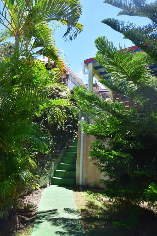 Jardin Sur Mer Terre-De-Haut Kültér fotó