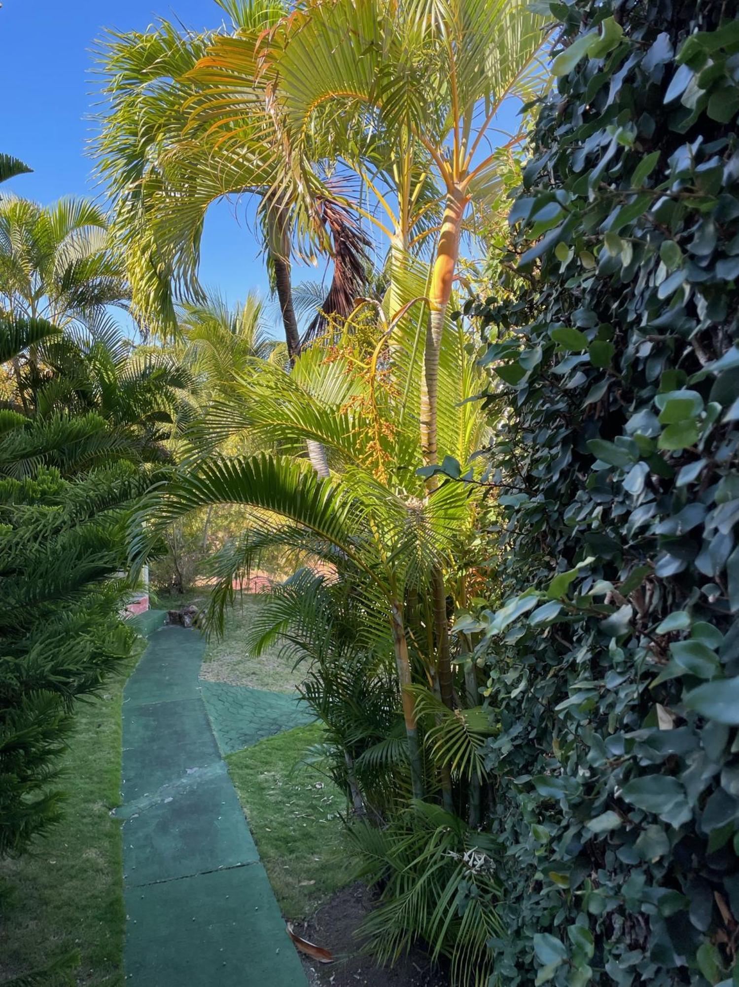 Jardin Sur Mer Terre-De-Haut Kültér fotó
